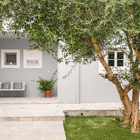 Dalie Luxury